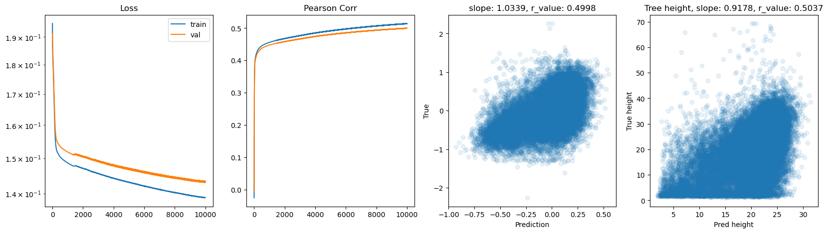 ../_images/CASESTUDY_Tree_Height_07FeedForward_Networks_2025_12_5.png
