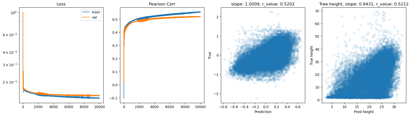 ../_images/CASESTUDY_Tree_Height_07FeedForward_Networks_2025_12_9.png
