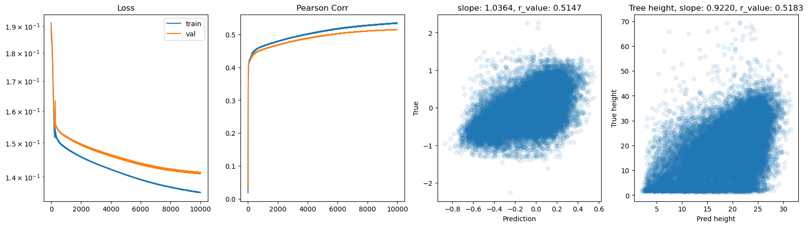 ../_images/CASESTUDY_Tree_Height_07FeedForward_Networks_2025_14_21.png