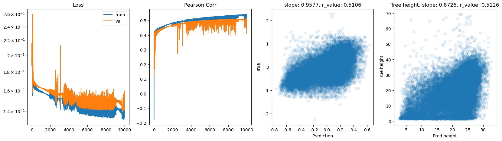 ../_images/CASESTUDY_Tree_Height_07FeedForward_Networks_2025_14_9.png