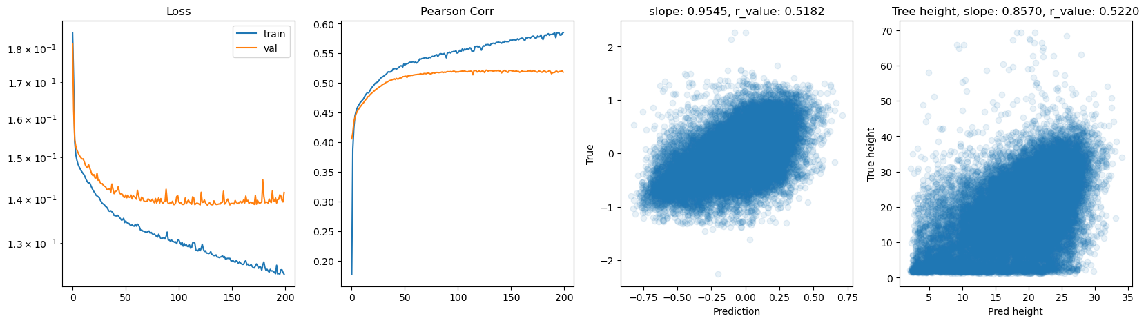 ../_images/CASESTUDY_Tree_Height_07FeedForward_Networks_2025_16_17.png